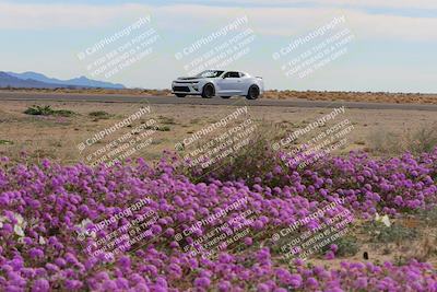 media/Jan-08-2023-SCCA SD (Sun) [[8f6a5b9391]]/Advanced Group/Session 2 (Short Straight)/